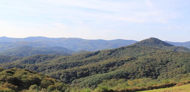 Reserva Forestal del Añarbe (Red Natura 2000)