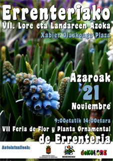 LoreAzokaKartela2015